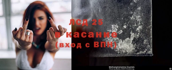сатива Ачинск
