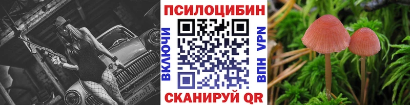 это какой сайт  mega tor  Советск  Псилоцибиновые грибы Psilocybine cubensis 