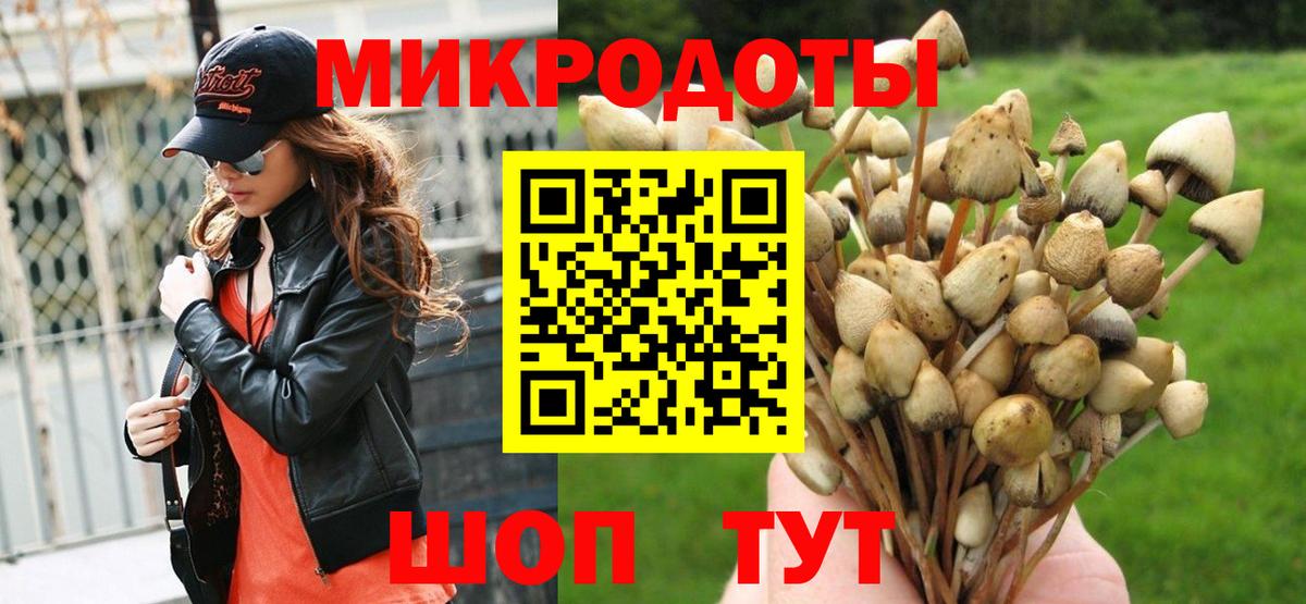 Псилоцибиновые грибы мухоморы  Вход с VPN  купить наркотики сайты  Советск 